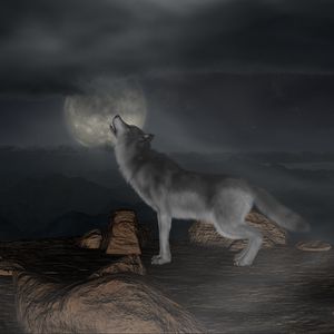 Preview wallpaper wolf, howl, moon, full moon