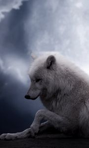 Preview wallpaper wolf, moon, lie, predator