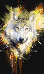 Preview wallpaper wolf, muzzle, predator, art