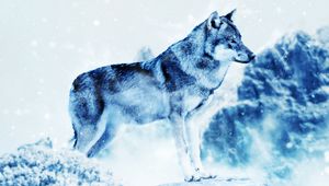Preview wallpaper wolf, photoshop, predator, art