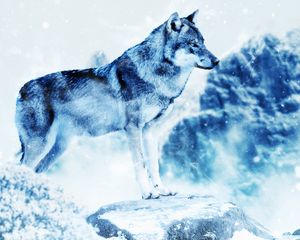 Preview wallpaper wolf, photoshop, predator, art
