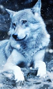 Preview wallpaper wolf, photoshop, predator, wildlife