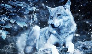 Preview wallpaper wolf, photoshop, predator, wildlife