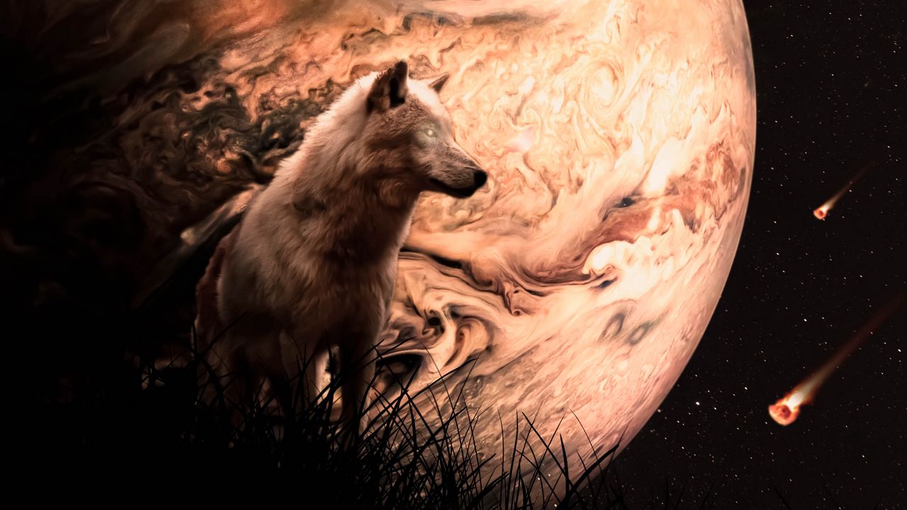 Wallpaper wolf, planet, meteors, space