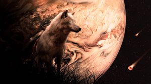 Preview wallpaper wolf, planet, meteors, space