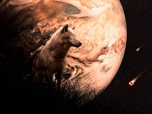 Preview wallpaper wolf, planet, meteors, space