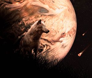Preview wallpaper wolf, planet, meteors, space