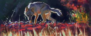 Preview wallpaper wolf, predator, grass, wildlife, art