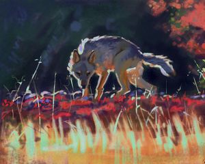 Preview wallpaper wolf, predator, grass, wildlife, art