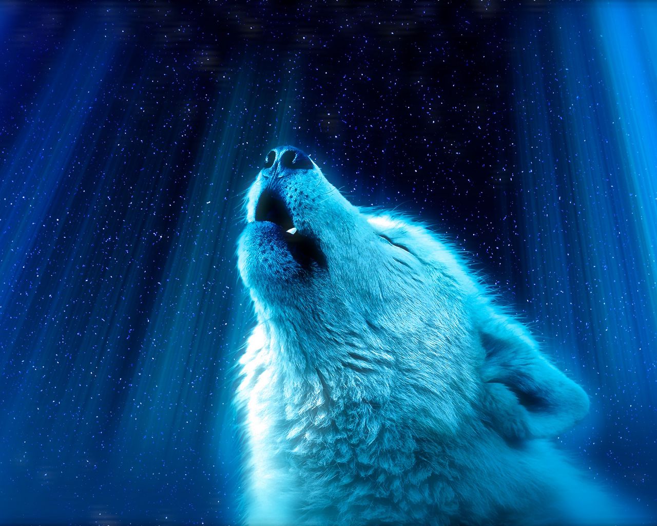 Hãy đến với hình ảnh liên quan đến chú sói để khám phá kho tàng sự khôn ngoan và sức mạnh dũng cảm của loài thú đầy bí ẩn này.