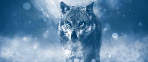 Preview wallpaper wolf, predator, photoshop, glance, glare