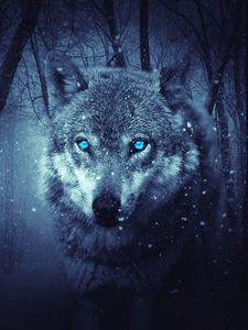 Preview wallpaper wolf, predator, photoshop, art