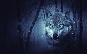 150+ 4K Wolf Wallpapers | Background Images
