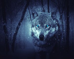 Wolf standard 5:4 wallpapers hd, desktop backgrounds 1280x1024 downloads,  images and pictures