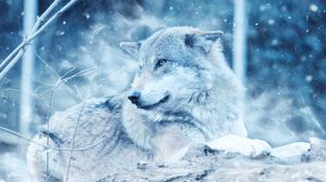 Preview wallpaper wolf, predator, photoshop, look
