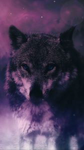 Preview wallpaper wolf, predator, wildlife, photoshop, sight