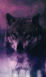 Preview wallpaper wolf, predator, wildlife, photoshop, sight