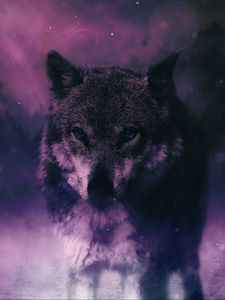 Preview wallpaper wolf, predator, wildlife, photoshop, sight