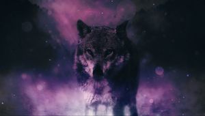 Preview wallpaper wolf, predator, wildlife, photoshop, sight