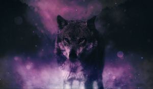 Preview wallpaper wolf, predator, wildlife, photoshop, sight