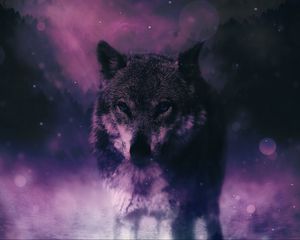 Preview wallpaper wolf, predator, wildlife, photoshop, sight