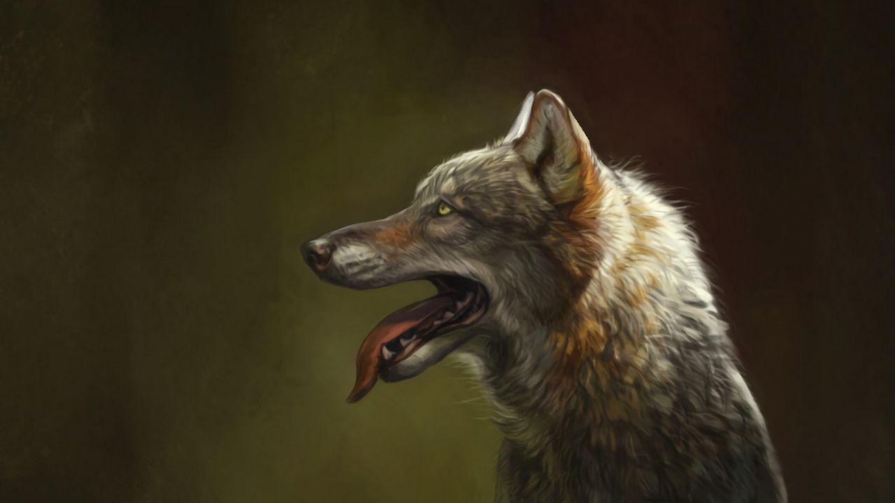 Wallpaper wolf, protruding tongue, art