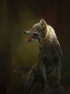 Preview wallpaper wolf, protruding tongue, art