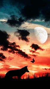 Preview wallpaper wolf, silhouette, dark, moon, clouds, butterfly