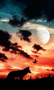Preview wallpaper wolf, silhouette, dark, moon, clouds, butterfly