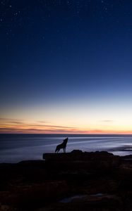 Preview wallpaper wolf, silhouette, horizon, night, ocean, sea