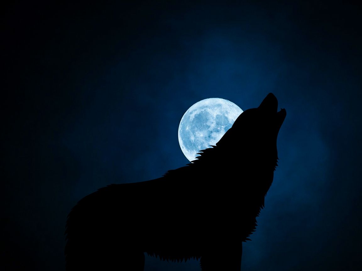 1152x864 Wallpaper wolf, silhouette, moon, night