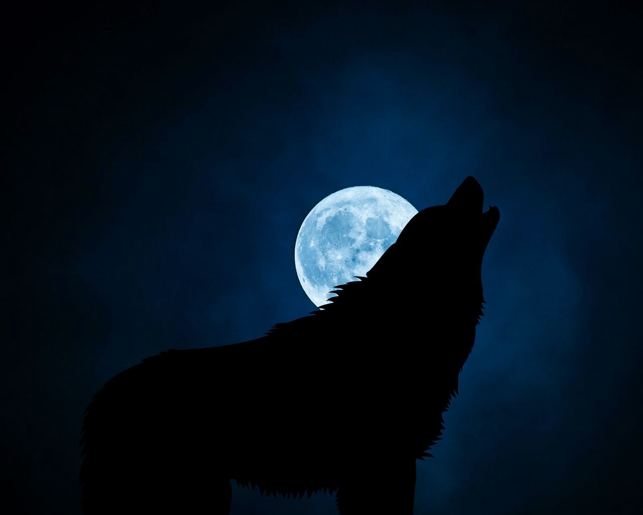 1280x1024 Wallpaper wolf, silhouette, moon, night