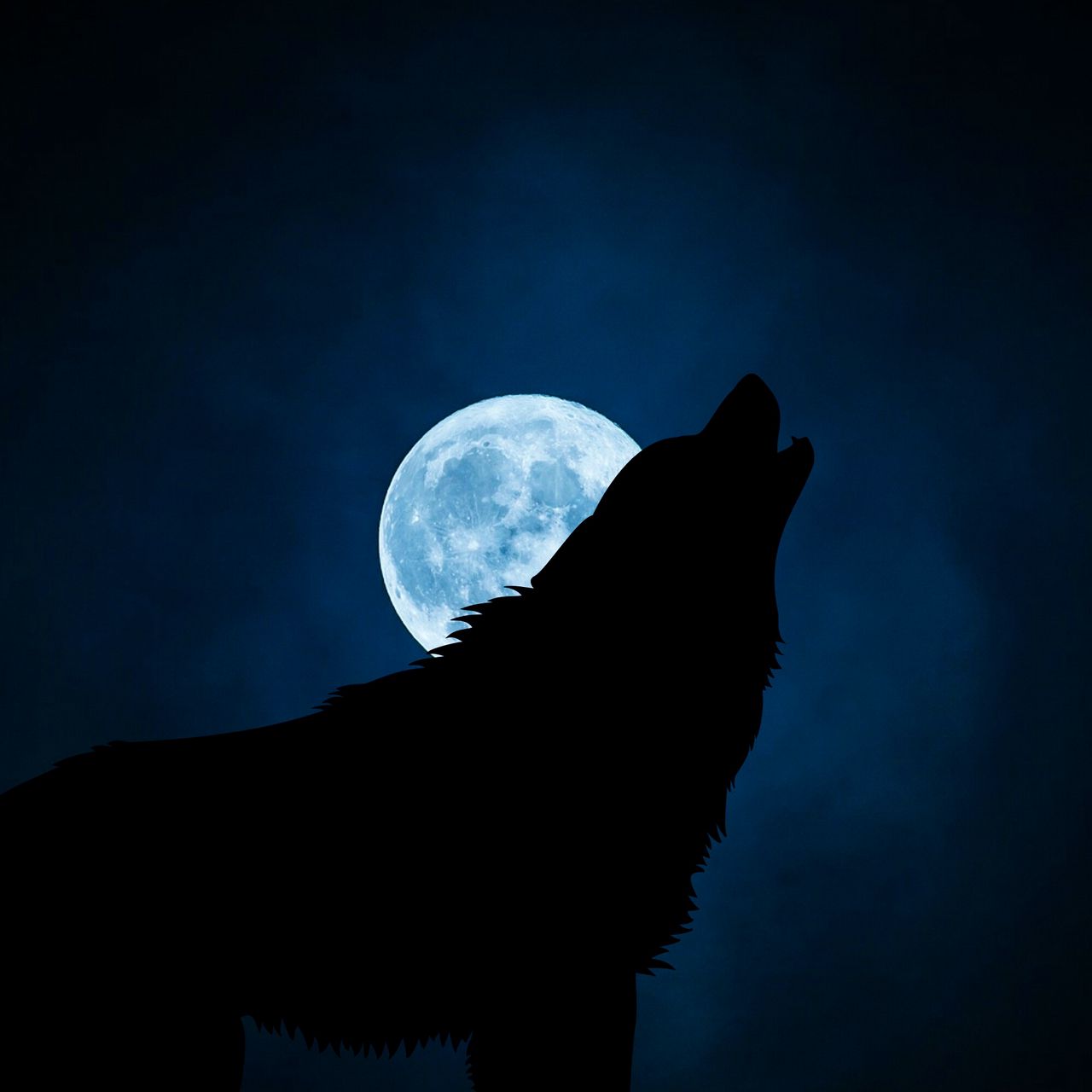 1280x1280 Wallpaper wolf, silhouette, moon, night