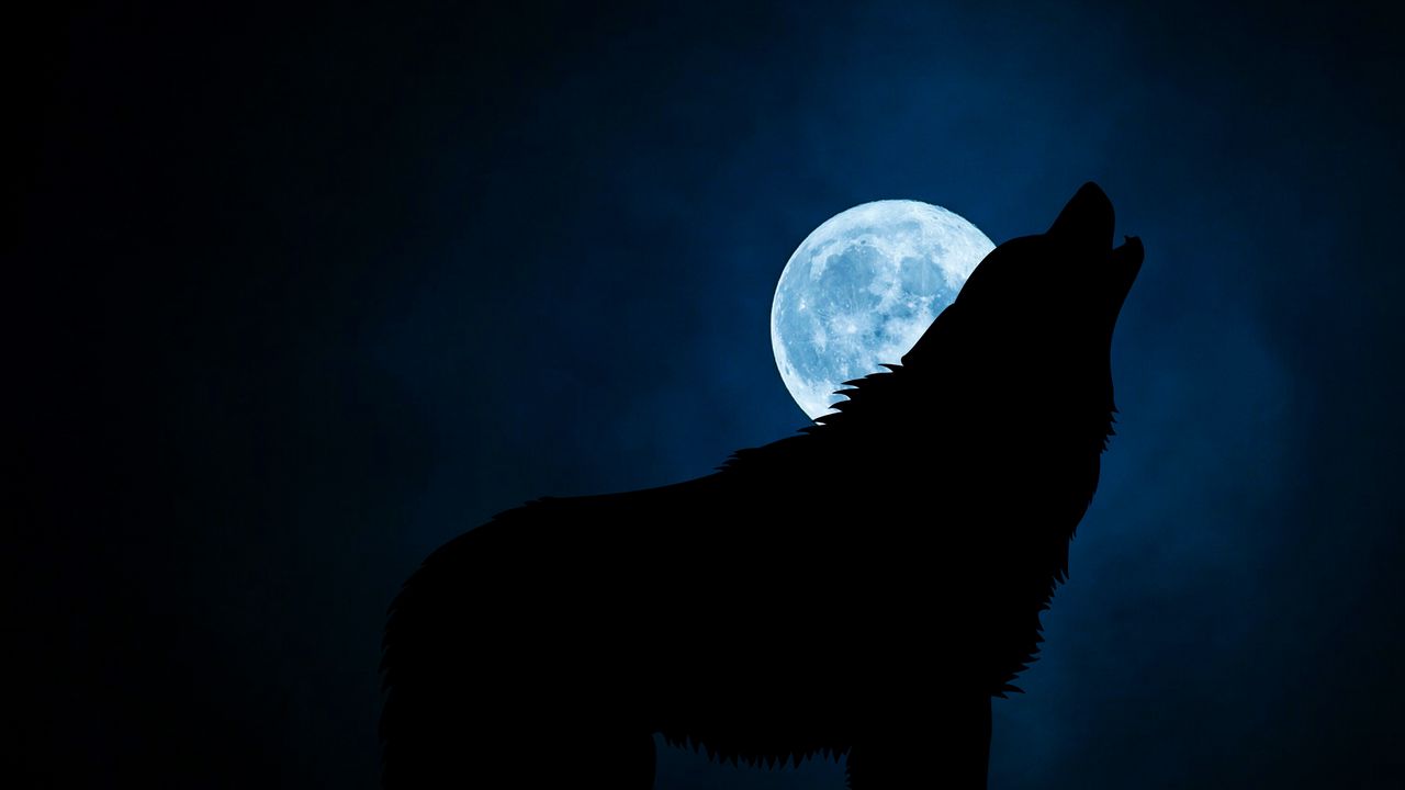 1280x720 Wallpaper wolf, silhouette, moon, night