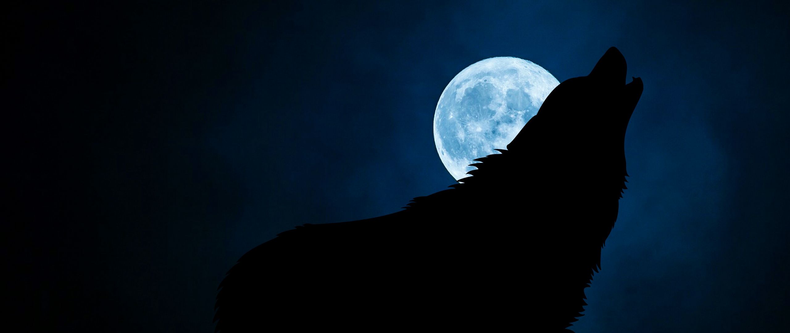 2560x1080 Wallpaper wolf, silhouette, moon, night