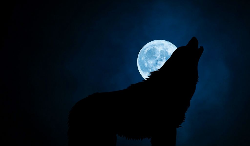 1024x600 Wallpaper wolf, silhouette, moon, night