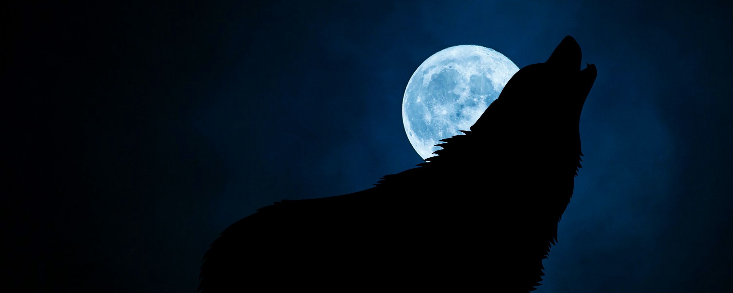 2560x1024 Wallpaper wolf, silhouette, moon, night
