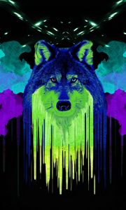 Preview wallpaper wolf, spots, paint, art