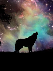 Preview wallpaper wolf, starry sky, silhouette, art