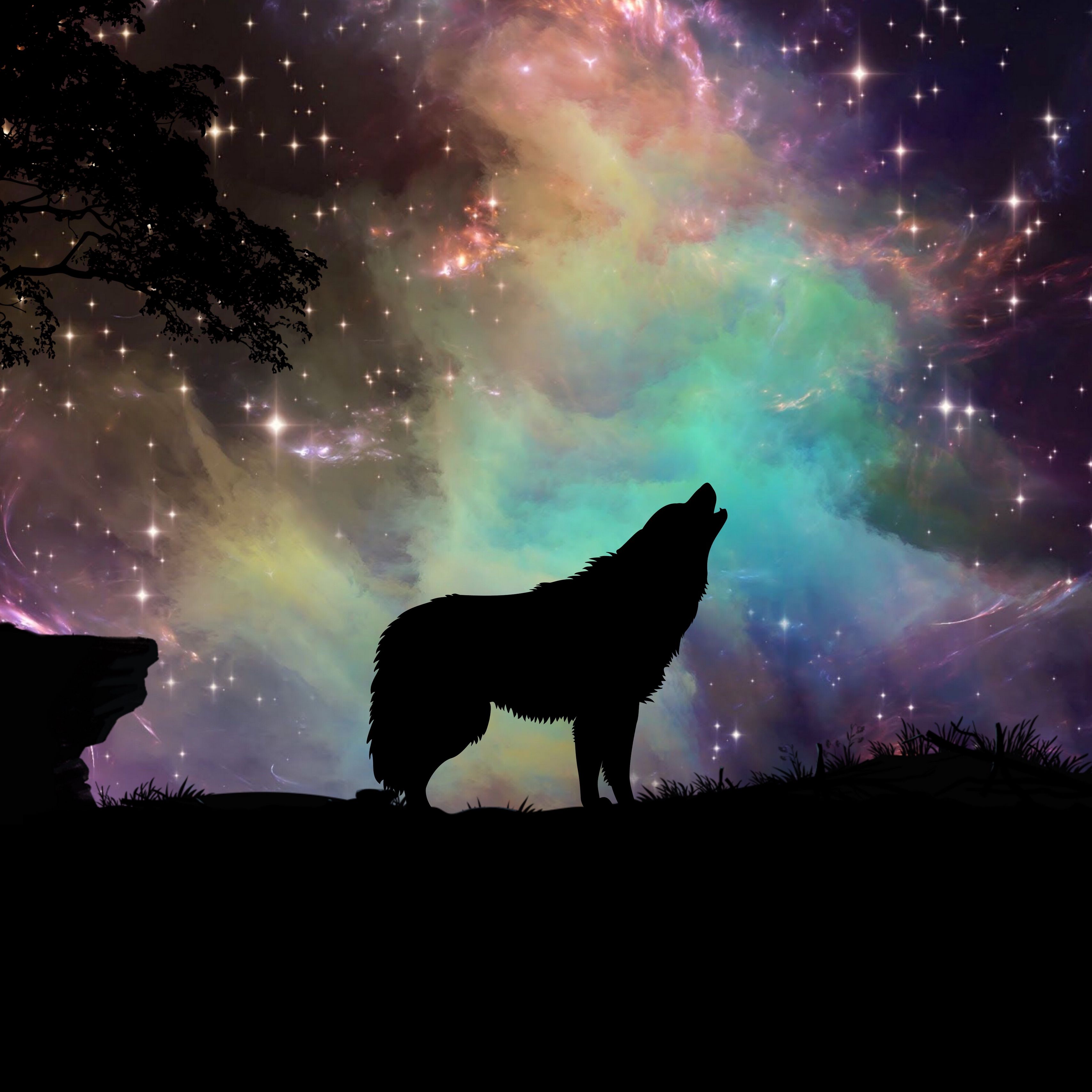 3415x3415 Wallpaper wolf, starry sky, silhouette, art