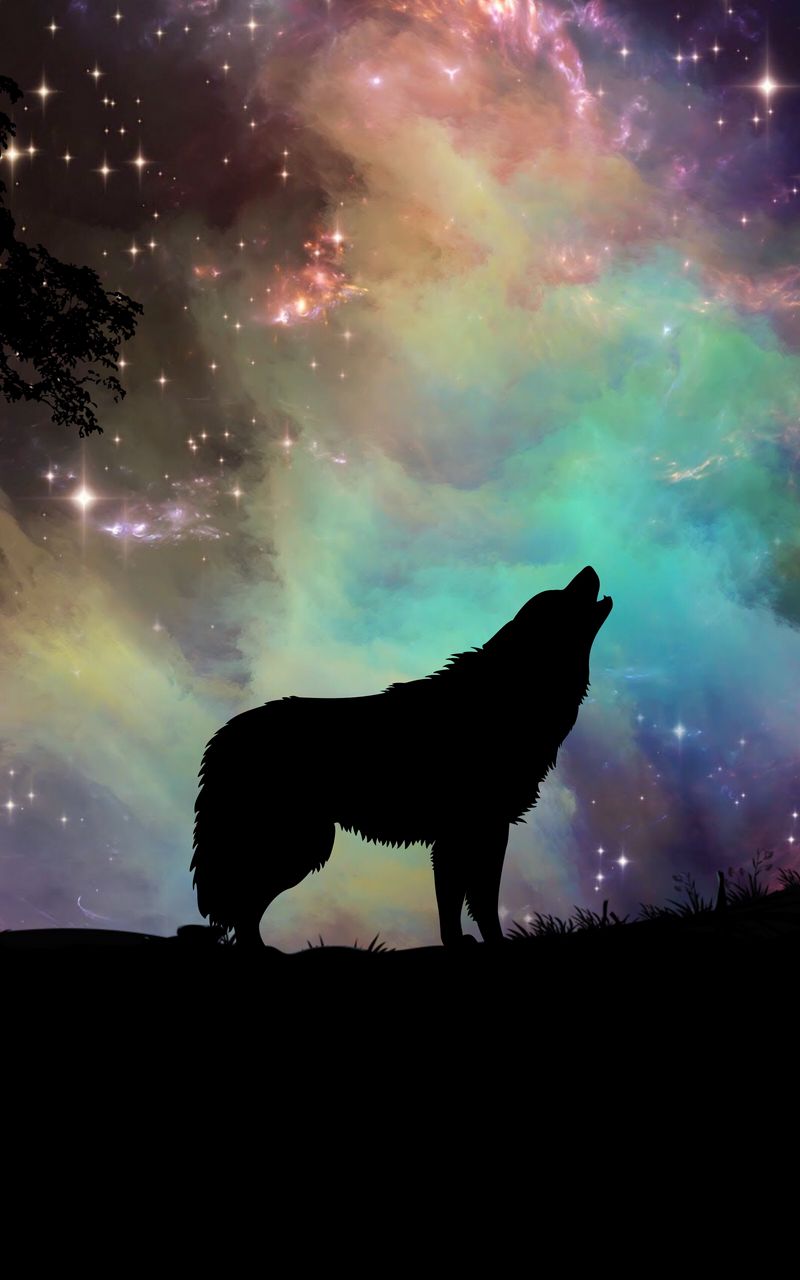 800x1280 Wallpaper wolf, starry sky, silhouette, art