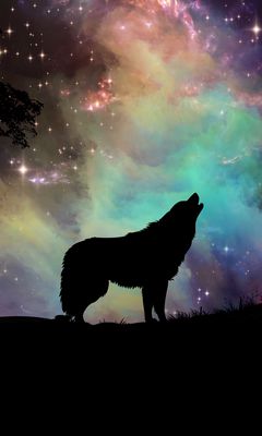 240x400 Wallpaper wolf, starry sky, silhouette, art
