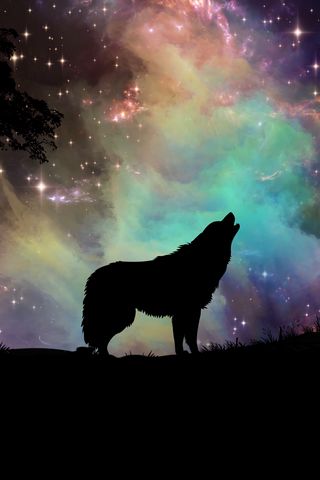 320x480 Wallpaper wolf, starry sky, silhouette, art