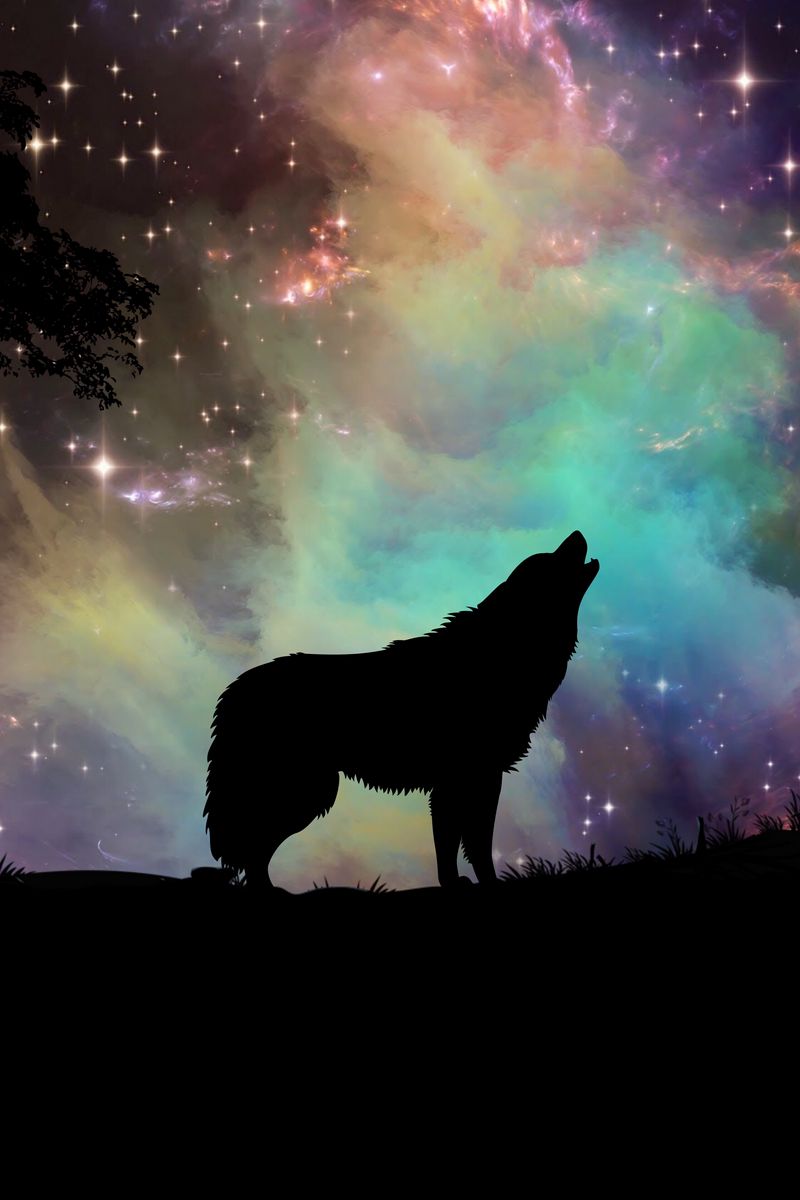 800x1200 Wallpaper wolf, starry sky, silhouette, art
