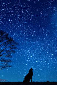 Preview wallpaper wolf, starry sky, tree, moon