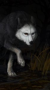 Preview wallpaper wolf, water, darkness, art