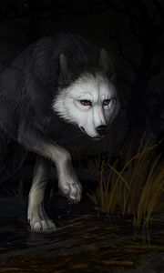 Preview wallpaper wolf, water, darkness, art