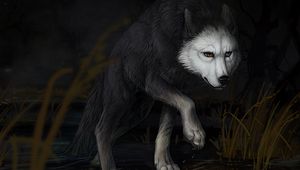 Preview wallpaper wolf, water, darkness, art