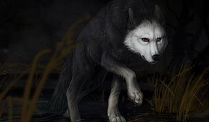 Preview wallpaper wolf, water, darkness, art