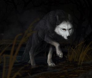 Preview wallpaper wolf, water, darkness, art